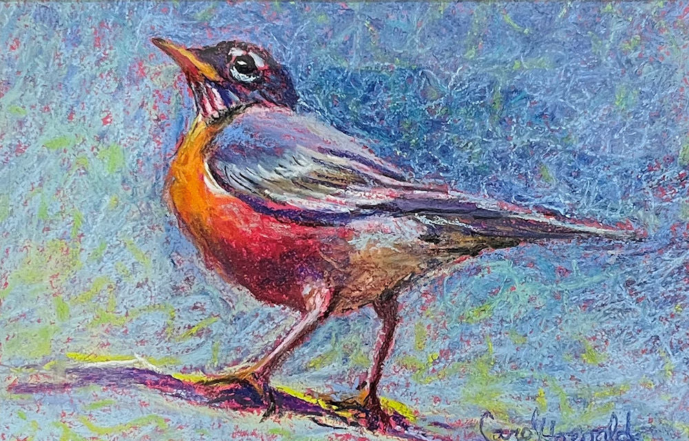 Spring Robin